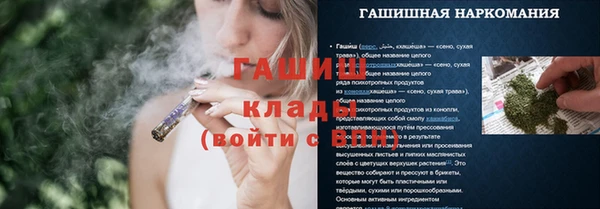 амф Коряжма