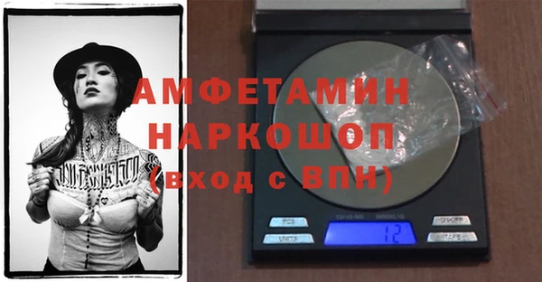 амф Коряжма