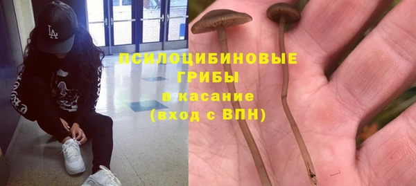 МДПВ Костерёво