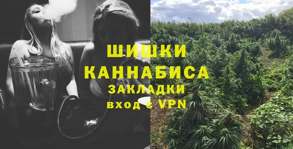 амф Коряжма