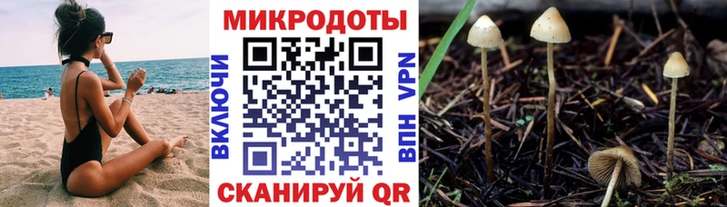 Купить закладки  Пестово  Галлюциногенные грибы MAGIC MUSHROOMS 