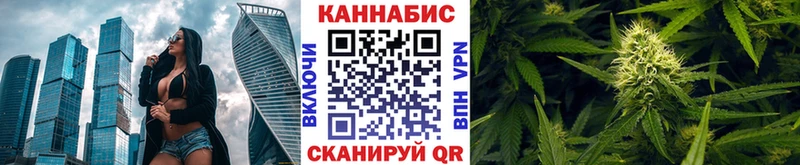 Конопля сатива  Купить закладки  Пестово 